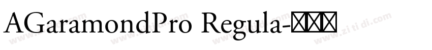 AGaramondPro Regula字体转换